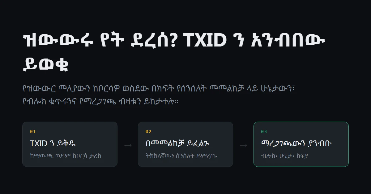 የላኩት ገንዘብ አልደረሰም? TXID ን ተጠቅመው የዝውውሩን ሁኔታ መከታተል